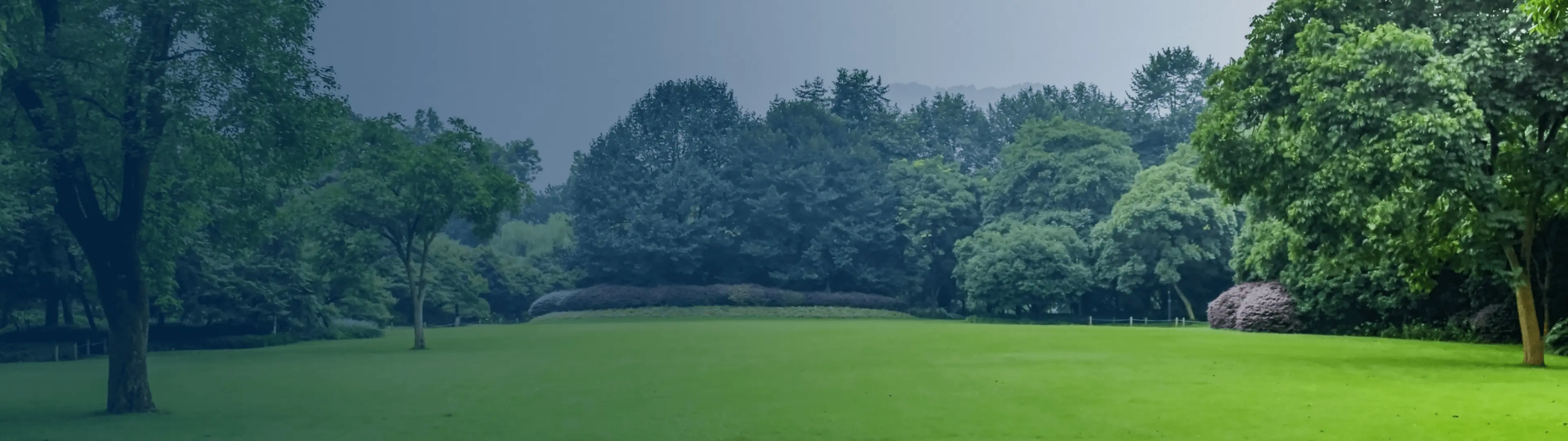 Управление через Turkov Wi-Fi